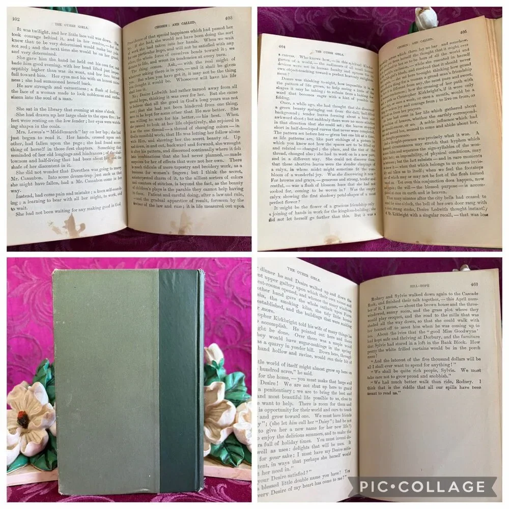 1894 The Other Girls by Mrs. A. D. T. Whitney, Victorian Women’s Antique Fiction